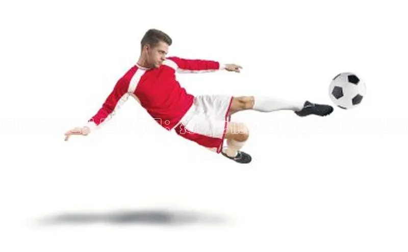 耀世登录入口歌力思黑皮肤蓬蓬头足球明星：揭秘他们的足球生涯和光辉业绩