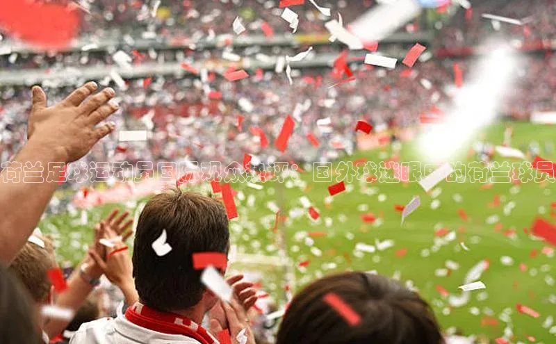 耀世娱乐平台登录皮阿诺荷兰足球运动员国际观众热评：国外球迷眼中的荷兰球员