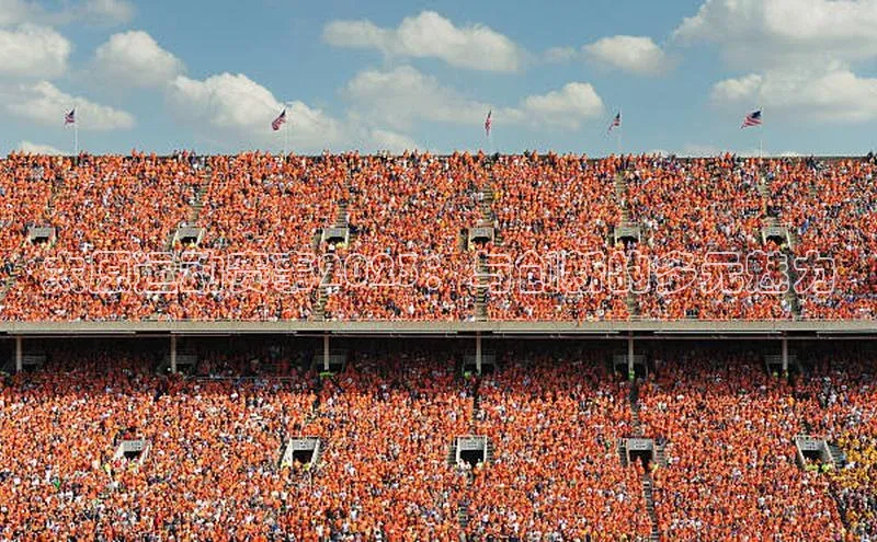 耀世娱乐注册登录宣亚国际太原运动赛事2023：与创新的多元魅力