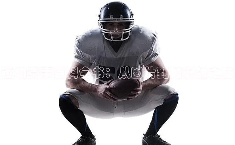 耀世平台登录官网百度移动开放平台运动赛事百科全书：从图片到知识的之旅