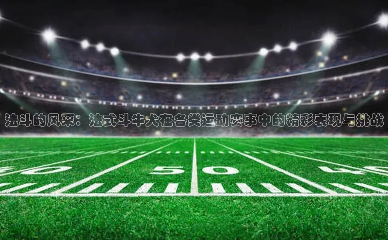 法斗的风采：法式斗牛犬在各类运动赛事中的精彩表现与挑战