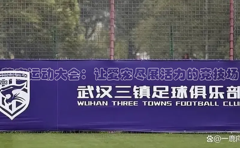 萌宠运动大会：让爱宠尽展活力的竞技场