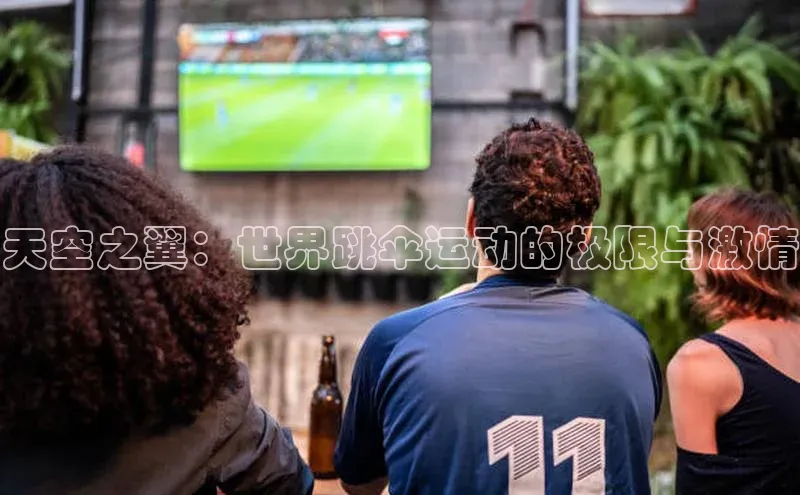 天空之翼：世界跳伞运动的极限与激情