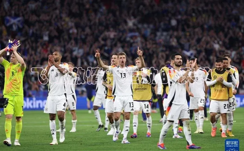 飞跃激情：运动的庆典