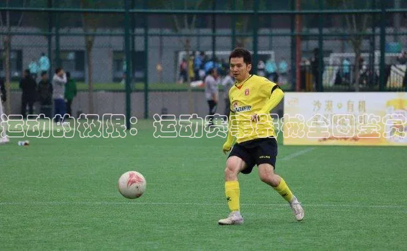 运动的极限：运动赛事器械全图鉴赏