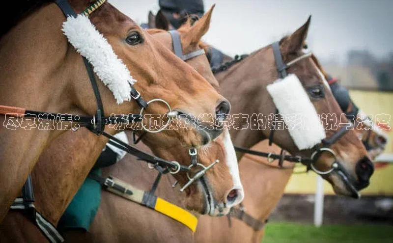 尽享激情：一场场顶级球类赛事的精彩解说与深度