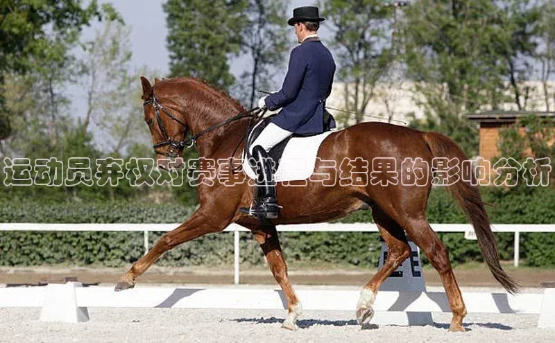 运动员弃权对赛事进程与结果的影响分析